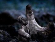 ゾンビ映画ってワンパターンだよな?