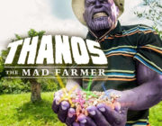マーベル映画とかいうこれから確実にDCに敗北するシリーズ