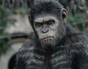 【映画】『猿の惑星』新作が始動！『メイズ・ランナー』ウェス・ボール監督がメガホン