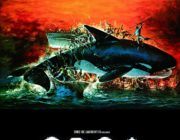 サメ映画はあるけどよく比較されるシャチの映画はあるの？