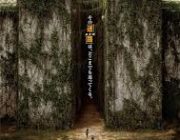 メイズランナーってゆう迷路から脱出する映画知ってるかい？