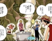 「サンジ「沸騰石は栄養分を無駄なく摂取できる」」←小学校理科ですらめちゃくちゃ