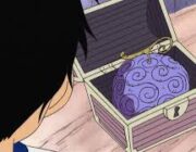 【ONE PIECE】原作に登場する悪魔の実(名前判明)だけで遂に150種超え間近な訳だが…