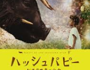 病気の父親と暮らす6歳の少女が、音信不通の母親を探しに海へと出て行く姿を描く!!!ハッシュパピー バスタブ島の少女 Beasts of the Southern Wild