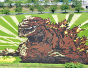 「シン・ゴジラ」の田んぼアート！映画を見たネットユーザーの間で話題に