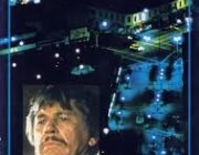 身内を殺されて犯人に復讐する映画と言ったら何だべ?