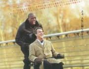 【悲報】フランス映画の素晴らしさにワイ、泣く