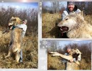 よく映画とかでオオカミに囲まれて食い殺されるシーンあるけど