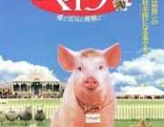 ベイブって映画見た